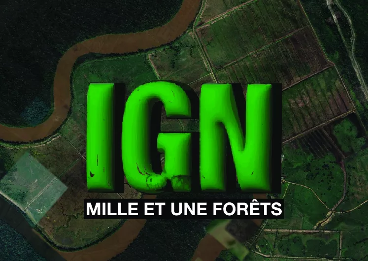 APPLICATION IGN